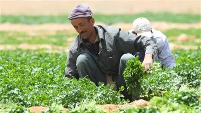 علاء فاروق: البنك الزراعي يُقدم سلفة للمزارع البسيط بفائدة 5%