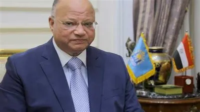 محافظ القاهرة يزف بشرى سارة عن منافذ بيع السلع (فيديو)