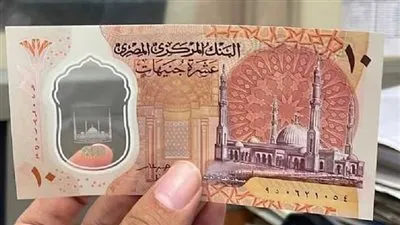 خبير مصرفي: 180 مليار جنيه تكلفة إصدار العملة سنويًا (فيديو)