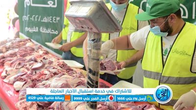 التضامن بالفيوم تبدأ في ذبح ٤٩٠ أضحية 