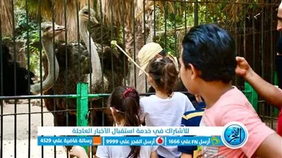 مشاهد من احتفال المصريين بالعيد من حديقة الحيوان