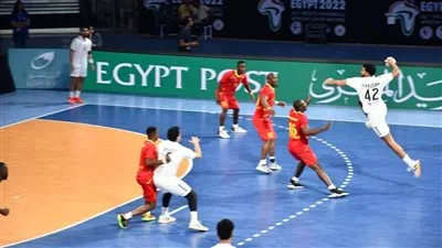 منتخب مصر يقهر الكاميرون بأمم إفريقيا لليد