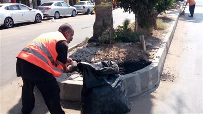 رفع 180 طن قمامة ومخلفات من الشوارع والحدائق في الدقهلية (صور)