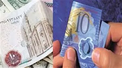 ما الفرق بين الورق والبوليمر