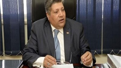 التنمية المحلية: مبيعات مبادرة 