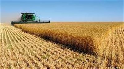 مستشار وزير الزراعة: أسعار الدواجن والفاكهة في متناول المواطن (فيديو)