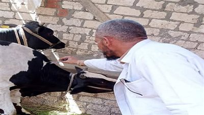 الزراعة: إعطاء أكثر من 341 ألف جرعة ضد الحمي القلاعية والوادي المتصدع في ثلاثة أيام 