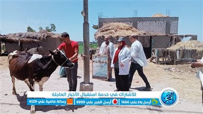 تحصين 57 ألف رأس ماشية ضد الحمى القلاعية بالبحيرة (صور)