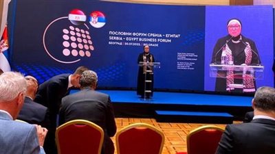 نيفين جامع: مصر خَطَت خطوات كبيرة لتطوير الصناعة الوطنية