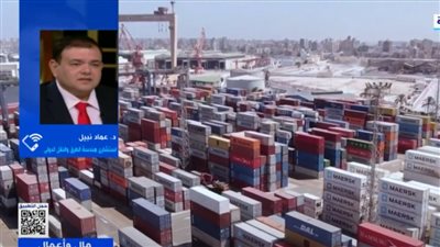 خبير يكشف تفاصيل إنشاء مصر لـ8 موانئ جافة