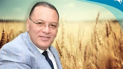 في طريقها للاكتفاء.. توريد 630 طن قمح لشون الشرقية