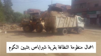 حملات لرفع تراكمات القمامة ونواتج الهدم وصيانة أعمدة الإنارة بالمنوفية