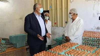 وزير الزراعة يتفقد مشروع إنتاج الدجاج البياض بالعامرية 
