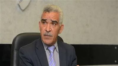 نقيب المأذونين يكشف عن هذا الإجراء لتقليل نسب الطلاق في مصر 