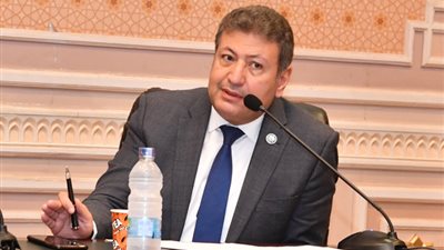 برلماني: 23 يوليو مثلت تاريخ طويل من النضال المصري ضد الاستعمار