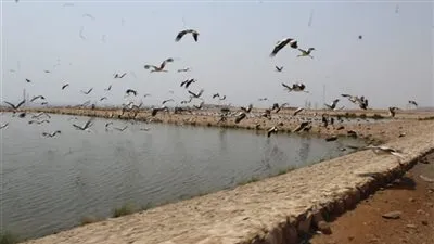 معلومات لا تعرفها عن منطقة بحيرات الأكسدة