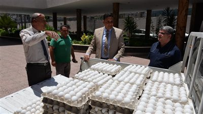 محافظ الدقهلية يعلن طرح البيض بمنافذ وزارة الزراعة بأسعار مخفضة