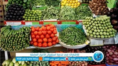 تعرف على أسعار الخضروات والفاكهة في أسواق الإسماعيلية