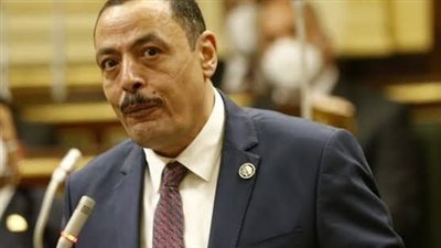 برلماني يطالب بسرعة تنفيذ قرارات الحماية الاجتماعية لدعم محدودي الدخل والمعاشات