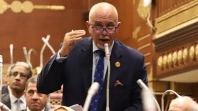 نائب بالشيوخ: قرارات الرئيس للحماية الاجتماعية لمسة إنسانية لدعم المواطن