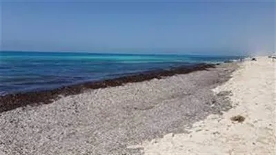 رئيس مركز معلومات التغير المناخي يكشف سبب ظهور الصخور بالساحل الشمالي (فيديو)