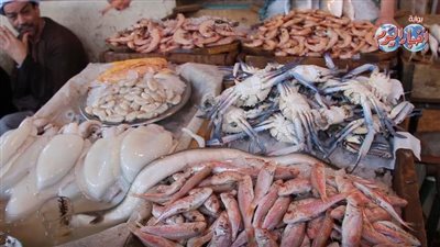أسعار الاسماك والمأكولات البحرية تستقر اليوم الخميس 28 يوليو 2022