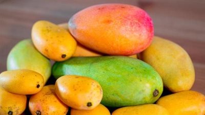 هل المانجة تزيد الوزن؟.. أخصائية تغذية تجيب