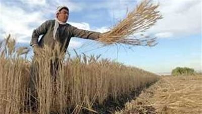 الرئيس الأوكرانى: روسيا تريد إثارة أزمة غذائية 