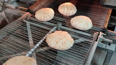 تحرير 56 محضرا في مجال المخابز والأسواق في الدقهلية