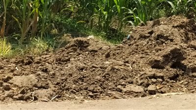 ننشر نص أقوال رئيس المباحث في قضية الاستيلاء على 