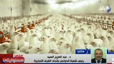 رئيس شعبة الدواجن يحذر: سماسرة السوق يحددون الأسعار حسب أهوائهم (فيديو)