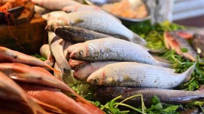 تعرف على أسعار الأسماك اليوم الاربعاء في الدقهلية