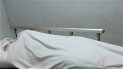 تفاصيل وفاة سيدة أربعينية بلدغة ثعبان في الدقهلية