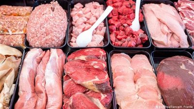  ارتفاع الأعلاف.. يضغط على زيادة أسعار اللحوم في المذبح 