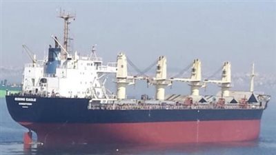 تداول 11 ألف طن بضائع عامة ومتنوعة و600 شاحنة بموانئ البحر الأحمر