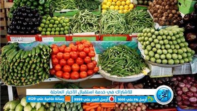 الأوطة المجنونة.. أسعار الخضروات اليوم الخميس 11-8-2022