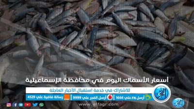 أسعار الأسماك اليوم الأربعاء 2\11\2022 في الإسكندرية