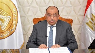 التنمية المحلية تزف بشرى سارة لـ المصريين بشأن السلع (فيديو)