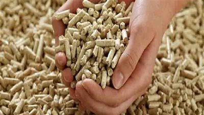 رئيس شعبة الدواجن يكشف عن حقيقة انخفاض أسعار الأعلاف (فيديو)