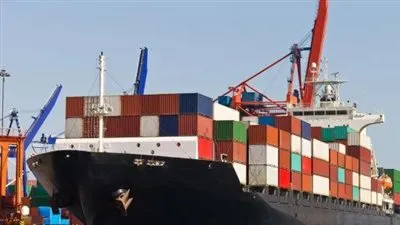 التجارة الداخلية بشعبة المستوردين يكشف عن معوقات استيراد السلع تامة الصنع (فيديو)