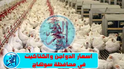 أسعار الدواجن اليوم الجمعة 5 أغسطس 2022 في سوهاج