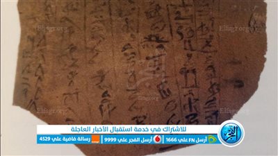 مفاجأة.. خبير: أغلب قدماء المصريين كانوا أميين والتعليم كان للصفوة