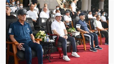 موسى: السيسي تعهد بأن النيل 