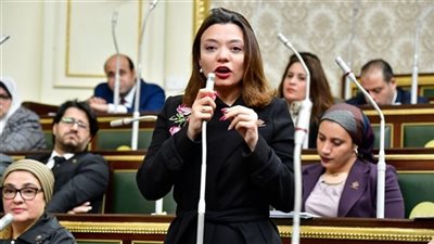 برلمانية: الحوار الوطني جسر مفتوح بين المواطن وصناع القرار (فيديو)