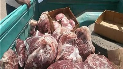 ضبط أسماك ولحوم مجهولة المصدر خلال حملات مفاجئة في الشرقية