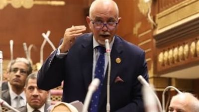 برلماني: القضية السكانية أصبحت الأكثر خطورة على الأمن القومي