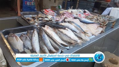 أسعار السمك اليوم الأربعاء 10/ 8/2022 بمحافظة الفيوم 
