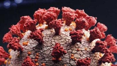 بعد ظهوره في الصين.. تعرف على فيروس 