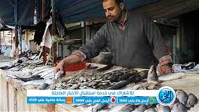 أسعار السمك اليوم الجمعة 12-8-2022  في محافظة قنا