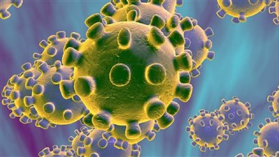 أول تعليق لـ